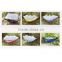 Double Portable Hanging Camping Hammock OEM service
