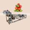 apricot tomato cranberry avocado cleaner machine fruit washer machine price