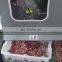 Industrial meat cube cutting dicing machine/ frozen meat dice cutting machine