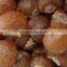 Premium Quality Soapnut Shell At Your Door Step