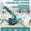 remote control small outdoor container concrete crane lifting 3 ton hydraulic small elephant hoist crane