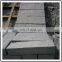 Light Grey Granite  G341 granite paving Curbstone