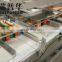 Wafer cake cookies chips outer pack secondary package pouch into plastic bag automatic feeding packing machine system