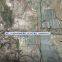 Bird detection and early warning system detects bird flocks Panoramic detection