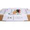 Fast Shipping Dubai Carton Factory