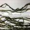 Frozen Seaweed Food Flavored Kelp Cut Seaweed Buyer