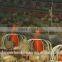 poultry farming equipment pajisjet e pulave