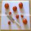 teflon cutting board/butcher chopping board/plastic cutting board
