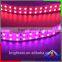 SMD 3528 CCT adjustable pink color LED Strip Light IP20 12V led lights Double PCB High Brightness Decoration Lighting