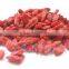 dried goji berries-best selling hot chinese products