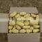 2013 Green organic fresh potatoe
