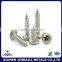 Self tapping philips cross recessed screws