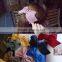 New Fashion Korean Big Bowknot Barrettes Hairclip Girls Hair Accessories for Women Headwear