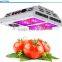 EverGrow 2016 Saga series led grow light for plant