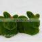 Chinna wholesale artificial moss topiary animal artificial topiary animal