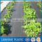 Wholesale pp woven weed control mat