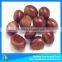 New Chesnut 2014 New crop fresh Dandong chestnut