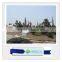 Simulation plant siliciffied wood