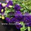 Party Decoration Lisianthus Flower Eustoma Wholesale From Yunnan, China