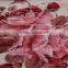 super soft mink blanket/blanket 100% polyester