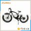 500w electric bike with Bafang motor