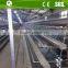 China poultry farm fully automatic chicken layer cage