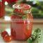 Tomato paste complete plant china