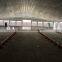 professional high quality broiler poultry farm shed design