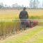 Rice reaper harvest machine / paddy / rice reaper made in China