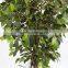 decorative artificial mini green ficus wooden tree