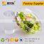 Food Use and Plastic PET Material take away salad box fruit bowl with lid