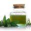 Peppermint Essential Oil India Origin