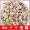 Light coloured speckled kidney beans with great quality