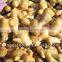 New Crop Chinese Fresh Ginger