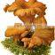 GMP Kosher Natural Cantharellus Cibarius Extract