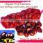 2015 new bulk dried chestnuts for sale