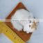 unstuffed plush animal cat arabic return gifts for birthday return gifts