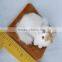 Lifelike lying display small animal cat recordable voice modules plush toys