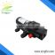 Singflo 12v dc mini electric water pump/irrigation water pump/diesel water pump