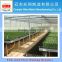 Greenhouse Ebb-and-flow rolling benches