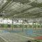 Venlo Type Glass Greenhouse
