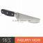 Plastic Handle Stainless Steel Steak Knife