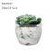 Nordic Marble like lines concrete flower pot plant pot plowerpot