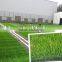 Durable Artificial lawn/turf for football/soccer pitch