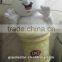 ice cream mascot costume