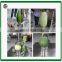 Industal fruit peeler watermelon peeling machine grapefruit peeling machine