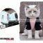 vogue Pet Little cat Kitten two feet Clothes letter applique sport hooded Overcoat
