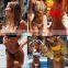 2019 New Bikini Set Women Swimwear Push Up Padded Brazilian Beachwear Biquini Swimsuit Women Bathing Suit