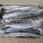 FOB QINGDAO spanish mackerel