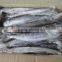 FOB QINGDAO spanish mackerel fish